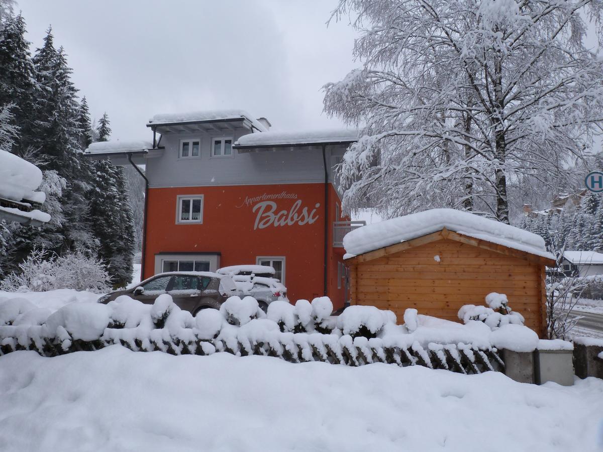 Alpen Appartements Viehhofen - Incl Sommercard Zell Am See Viehhofen Exterior foto